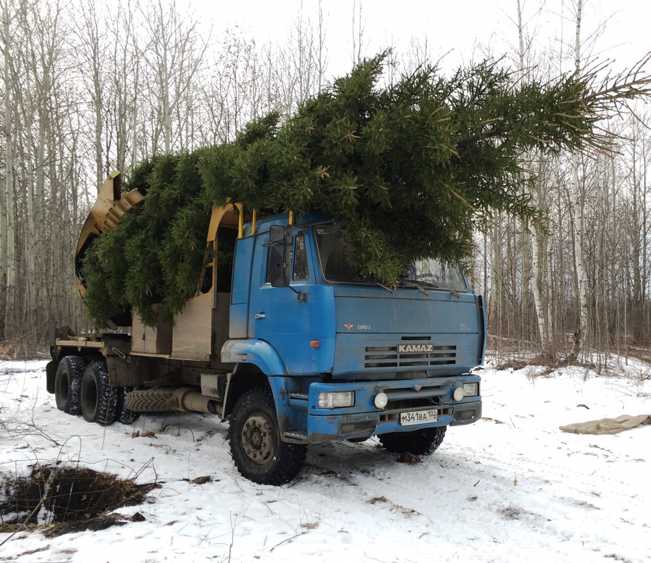 Big John 90B - питомник «Крупномеры Урала»